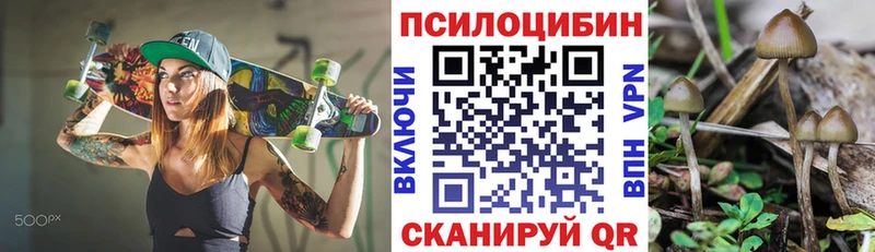 Купить где  Снежинск  Галлюциногенные грибы MAGIC MUSHROOMS 